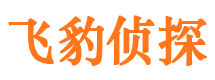 新浦市私家侦探